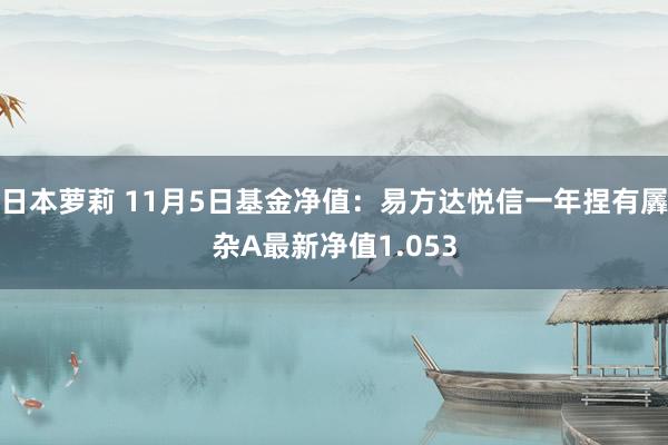 日本萝莉 11月5日基金净值：易方达悦信一年捏有羼杂A最新净值1.053