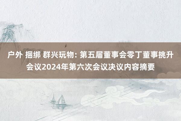 户外 捆绑 群兴玩物: 第五届董事会零丁董事挑升会议2024年第六次会议决议内容摘要