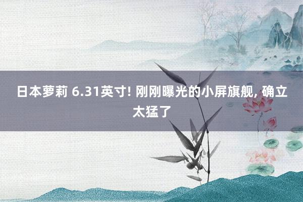 日本萝莉 6.31英寸! 刚刚曝光的小屏旗舰, 确立太猛了