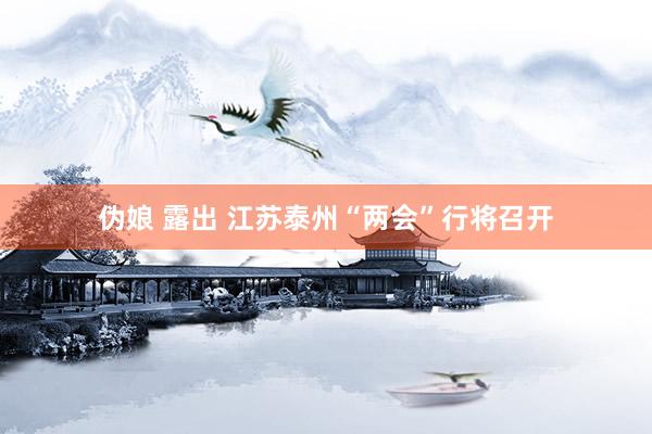 伪娘 露出 江苏泰州“两会”行将召开