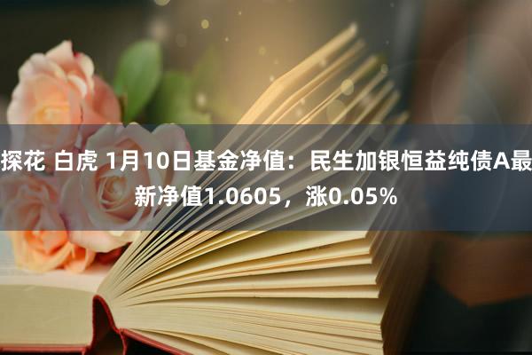 探花 白虎 1月10日基金净值：民生加银恒益纯债A最新净值1.0605，涨0.05%