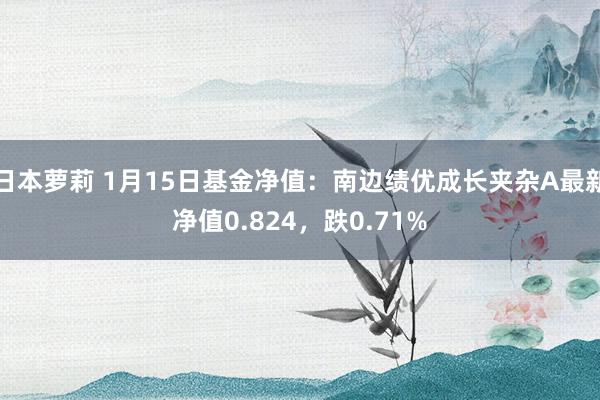 日本萝莉 1月15日基金净值：南边绩优成长夹杂A最新净值0.824，跌0.71%