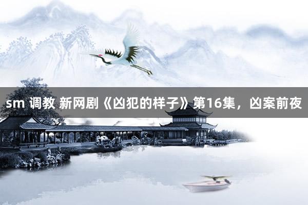 sm 调教 新网剧《凶犯的样子》第16集，凶案前夜