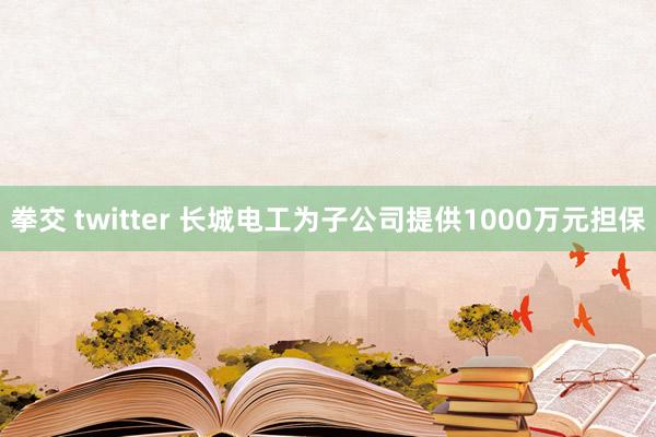 拳交 twitter 长城电工为子公司提供1000万元担保