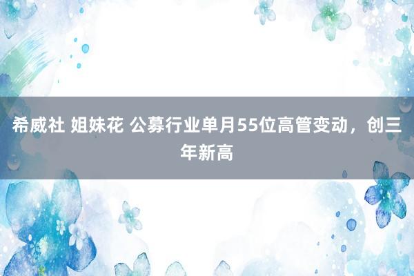 希威社 姐妹花 公募行业单月55位高管变动，创三年新高
