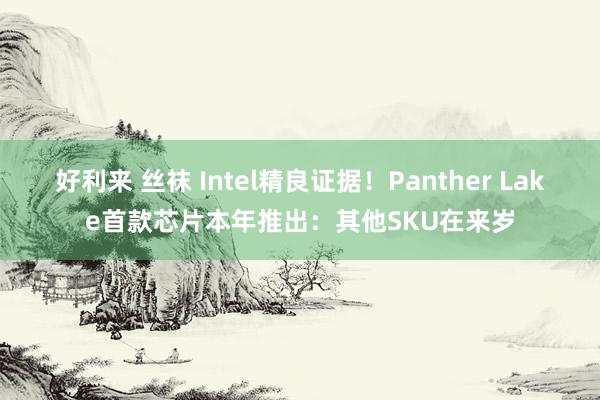 好利来 丝袜 Intel精良证据！Panther Lake首款芯片本年推出：其他SKU在来岁